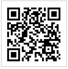 Bank Payment QR